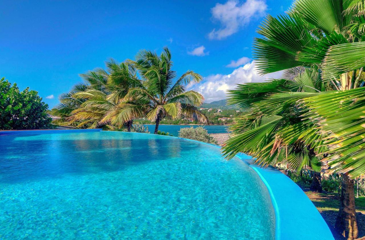473 Grenada Boutique Resort St. George's Ngoại thất bức ảnh