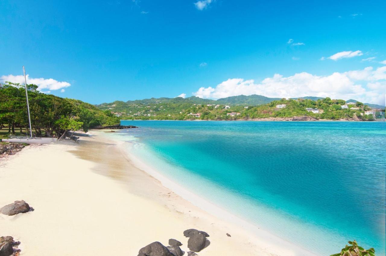 473 Grenada Boutique Resort St. George's Ngoại thất bức ảnh