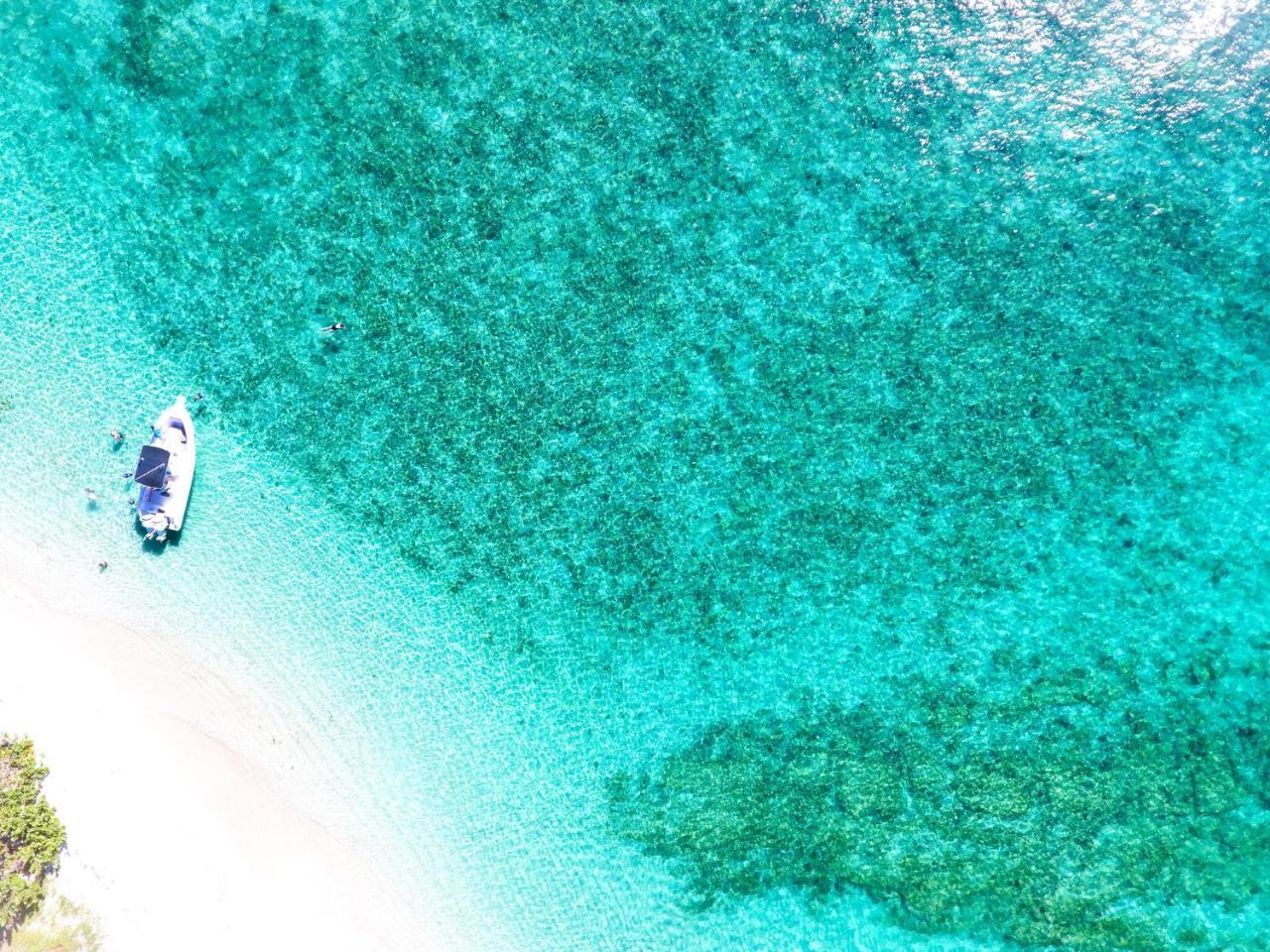 473 Grenada Boutique Resort St. George's Ngoại thất bức ảnh