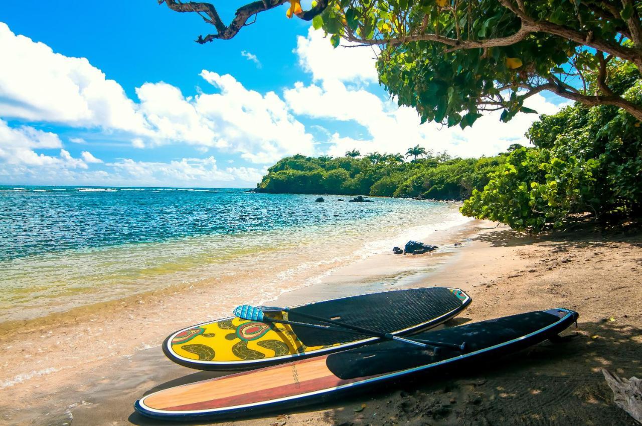 473 Grenada Boutique Resort St. George's Ngoại thất bức ảnh