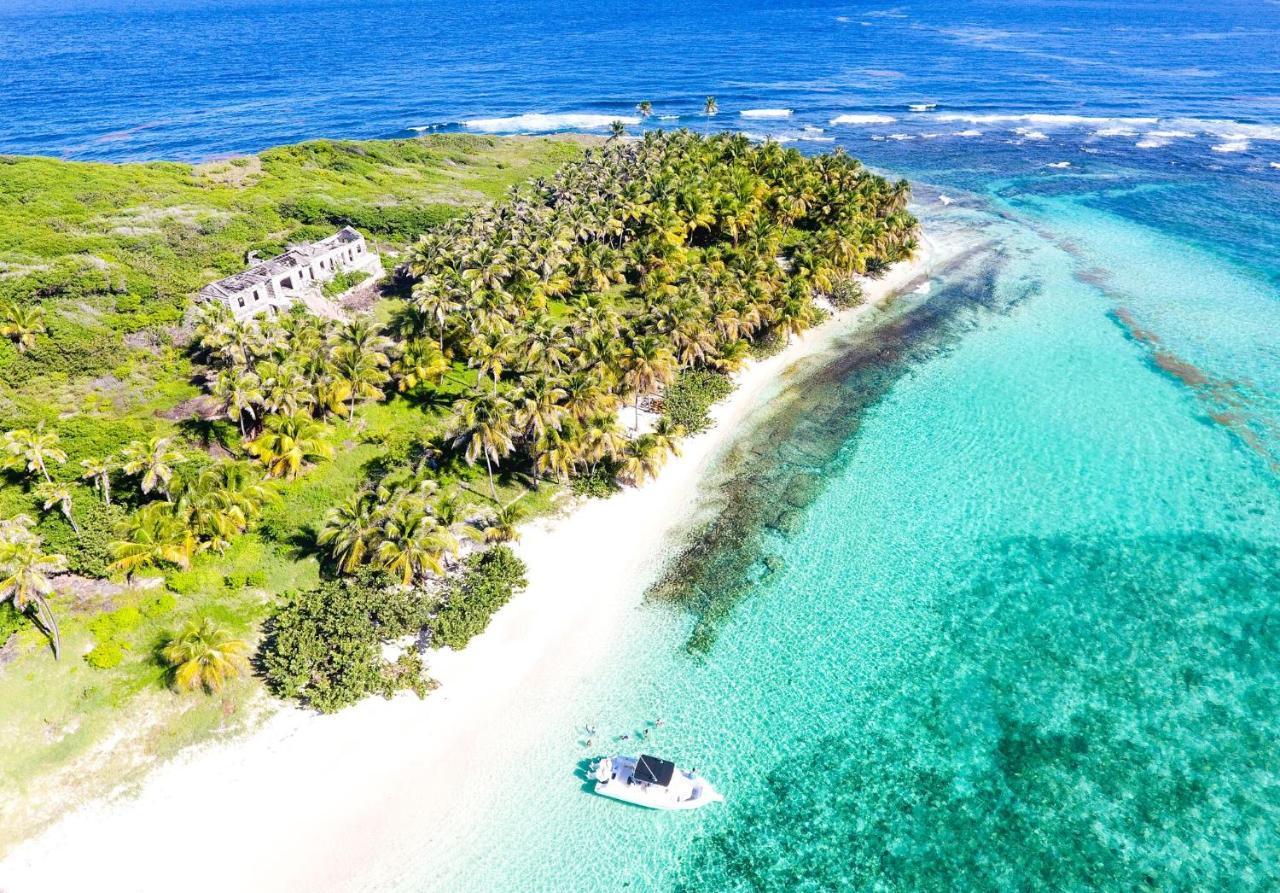 473 Grenada Boutique Resort St. George's Ngoại thất bức ảnh