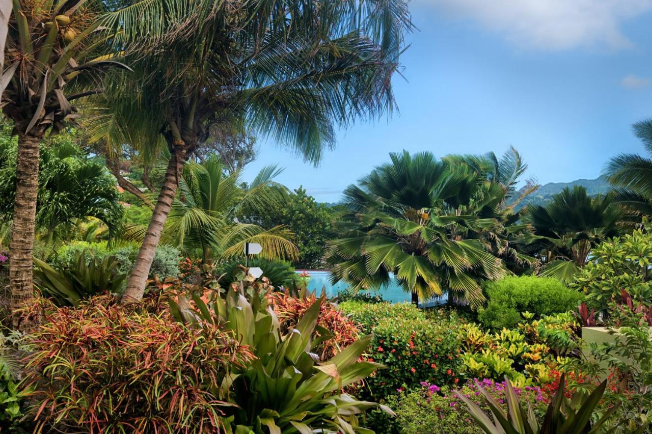 473 Grenada Boutique Resort St. George's Ngoại thất bức ảnh